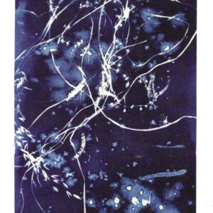 Cyanotype 1
